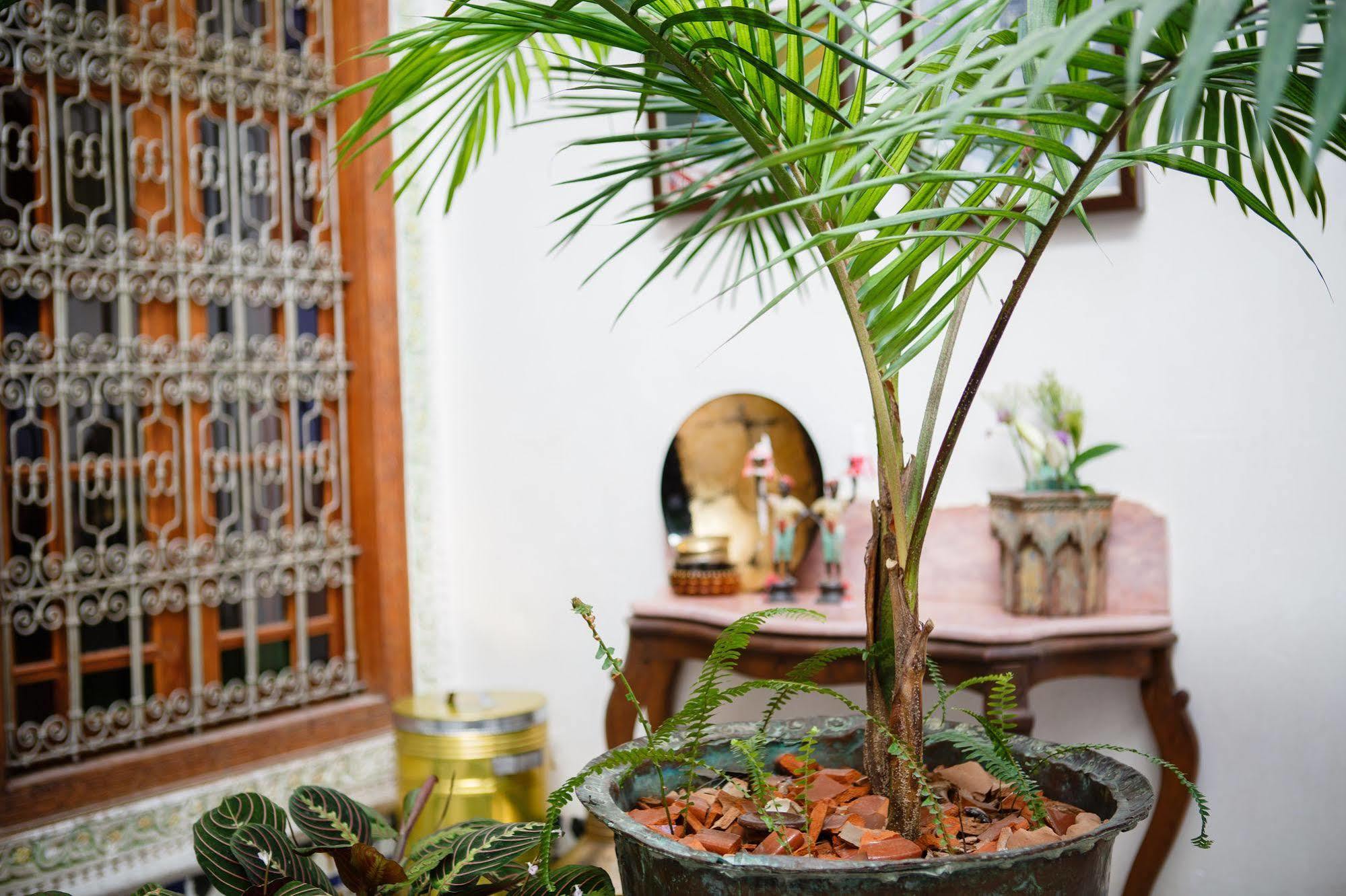 Riad Idrissy Fès Exterior foto